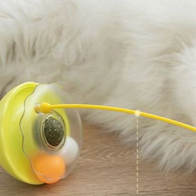 https://fulmo-img-server.com/party-cat/1751260853786_6d8g2277_yz566n48.jpeg