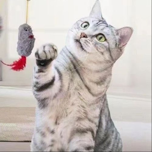 猫 おもちゃ 音声発声！ぶるぶるネズミちゃん吊り下げ玩具