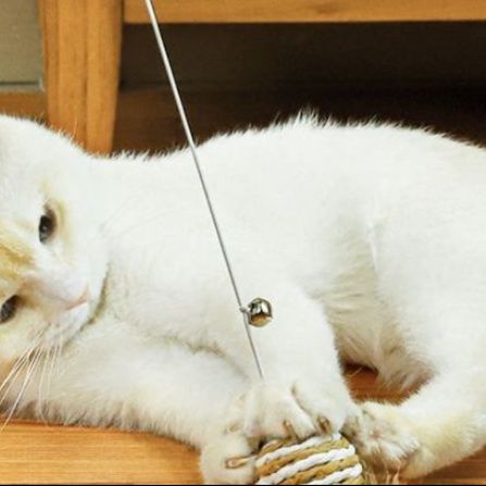 猫 おもちゃ 手作り木製キャットロッドコレクション