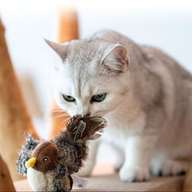 猫 おもちゃ 小鳥の音色を奏でる猫じゃらし
