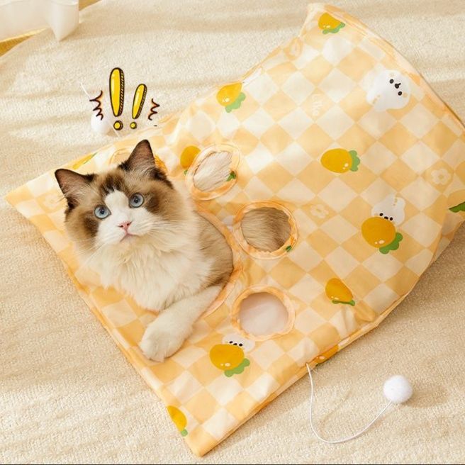 https://fulmo-img-server.com/party-cat/1751262494739_c11nnsuc_d7agv6ki.jpeg