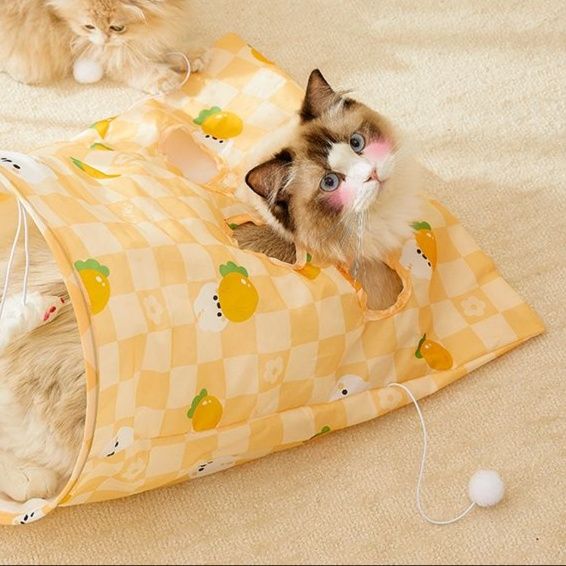 https://fulmo-img-server.com/party-cat/1751262508039_3s0zp1vl_ujn207to.jpeg