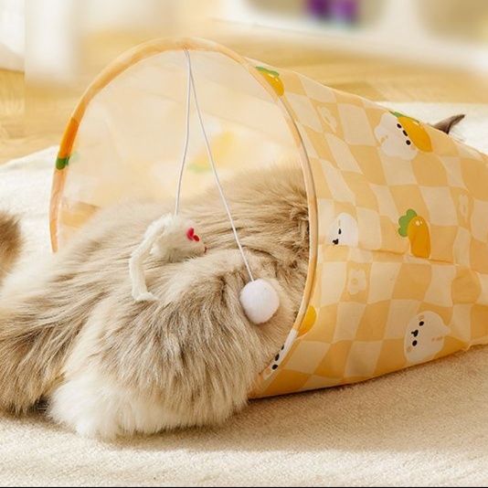 https://fulmo-img-server.com/party-cat/1751262516707_z02xd8up_iwf7wki6.jpeg