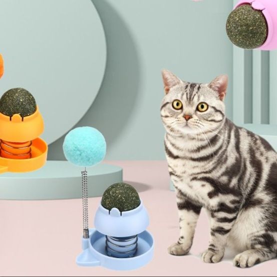 https://fulmo-img-server.com/party-cat/1751276480822_9i1feeg9_z9o4qfsj.jpeg
