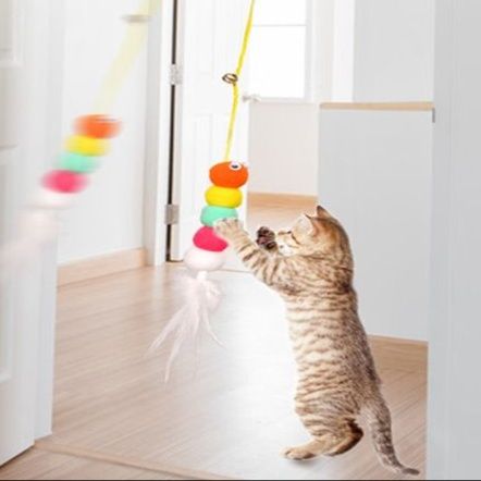 https://fulmo-img-server.com/party-cat/1751276752598_9wjen8mb_tveoac4a.jpeg