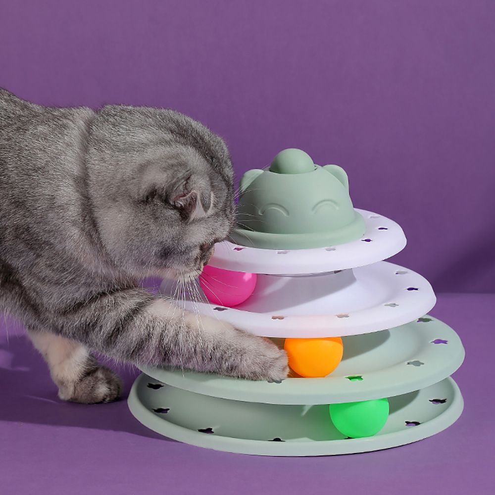 https://fulmo-img-server.com/party-cat/1751277505292_d69xnkgu_d6prmn2r.jpeg