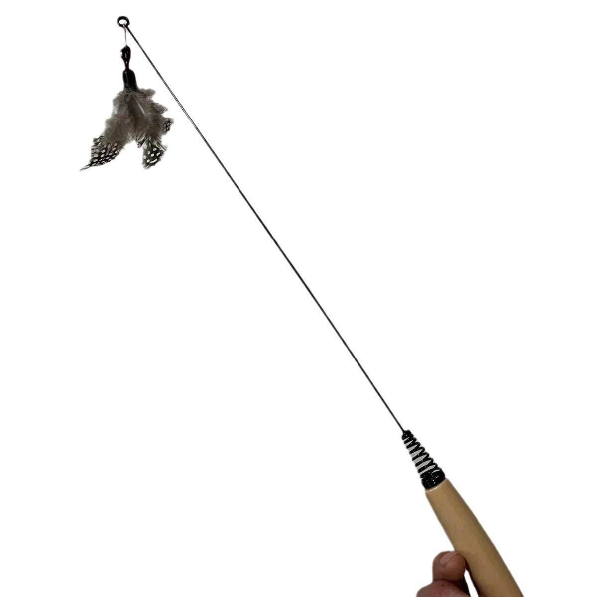 https://fulmo-img-server.com/party-cat/1751338919392_55twup5d_wint9757.jpeg