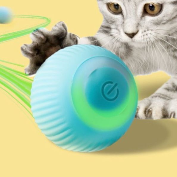 https://fulmo-img-server.com/party-cat/1751339065194_gru8ylg5_ff7h7tqj.jpeg