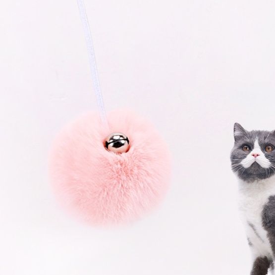 https://fulmo-img-server.com/party-cat/1751342347544_pk925scn_9me2ggz5.jpeg