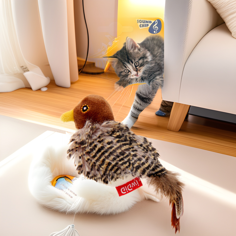 https://fulmo-img-server.com/party-cat/1751342899027_jvd5jbei_8wmlgsmg.png