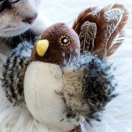 猫 おもちゃ メロディー鳴き声付き小鳥の猫じゃらし