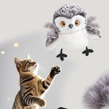 https://fulmo-img-server.com/party-cat/1751360054191_kzm215jd_jjf13pn1.jpeg