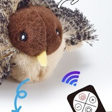 https://fulmo-img-server.com/party-cat/1751360075541_uiagqng6_vdsft7l9.jpeg