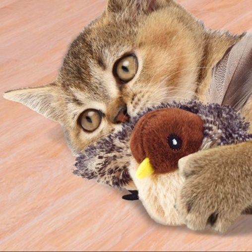 https://fulmo-img-server.com/party-cat/1751360086741_8c9dvlu5_07h5xzpv.jpeg