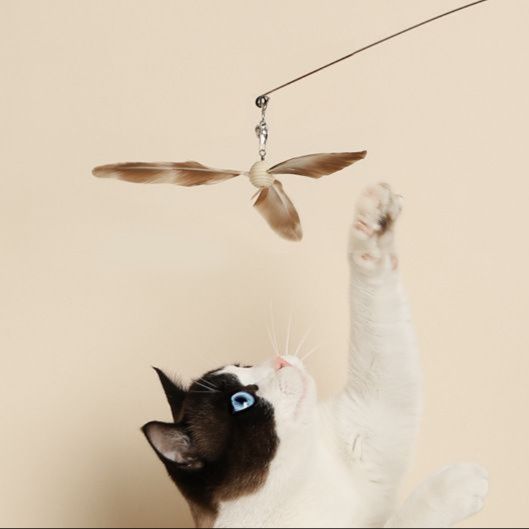 https://fulmo-img-server.com/party-cat/1751360202563_nc9opdfj_ka1jtf26.jpeg