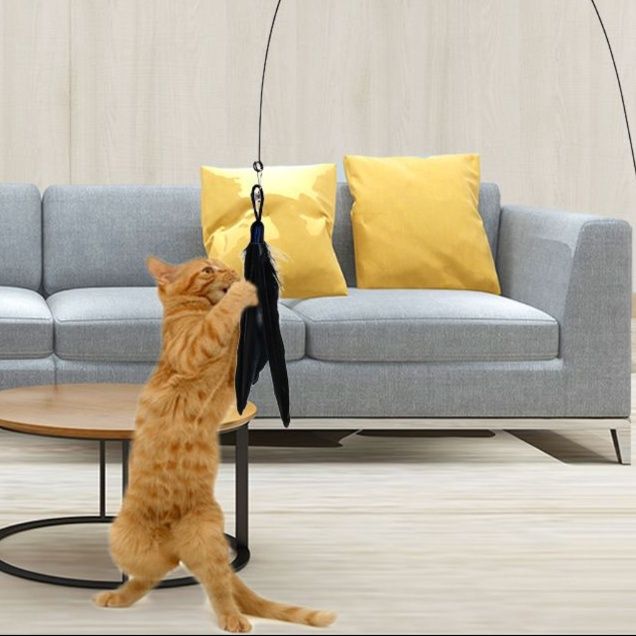 https://fulmo-img-server.com/party-cat/1751360541738_s3w97tbj_32fvcvze.jpeg
