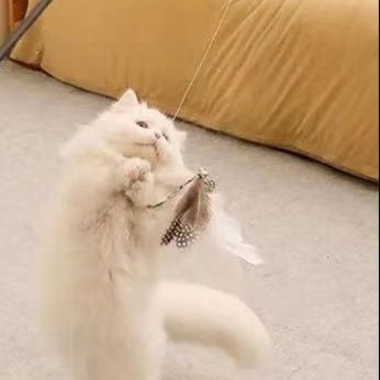 猫 おもちゃ 伸縮自在ロング羽付き猫じゃらし