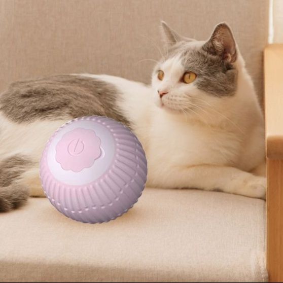 https://fulmo-img-server.com/party-cat/1751432137176_px0qowfy_5aac28l5.jpeg