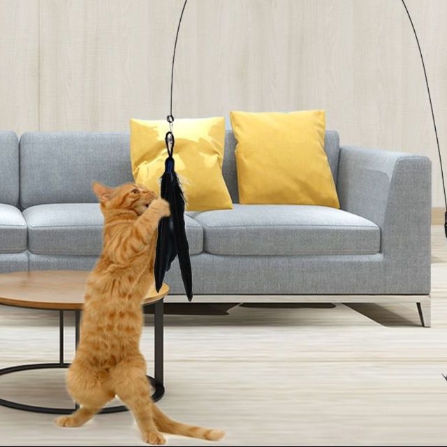 https://fulmo-img-server.com/party-cat/1751432309127_9jx75g08_aa5horq0.jpeg