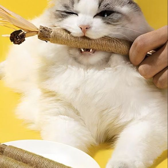 猫 おもちゃ 猫ちゃんの歯磨きスティック