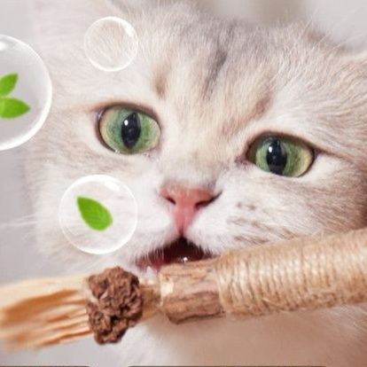 猫 おもちゃ 猫ちゃんの歯磨きスティック
