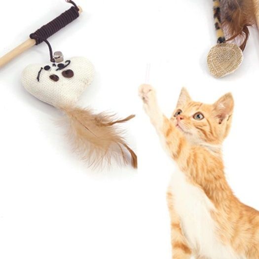 https://fulmo-img-server.com/party-cat/1751432715426_xc019sxc_pomcghyn.jpeg