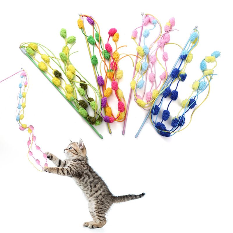 https://fulmo-img-server.com/party-cat/1751432884028_u4m7bkud_wzlg753m.jpeg
