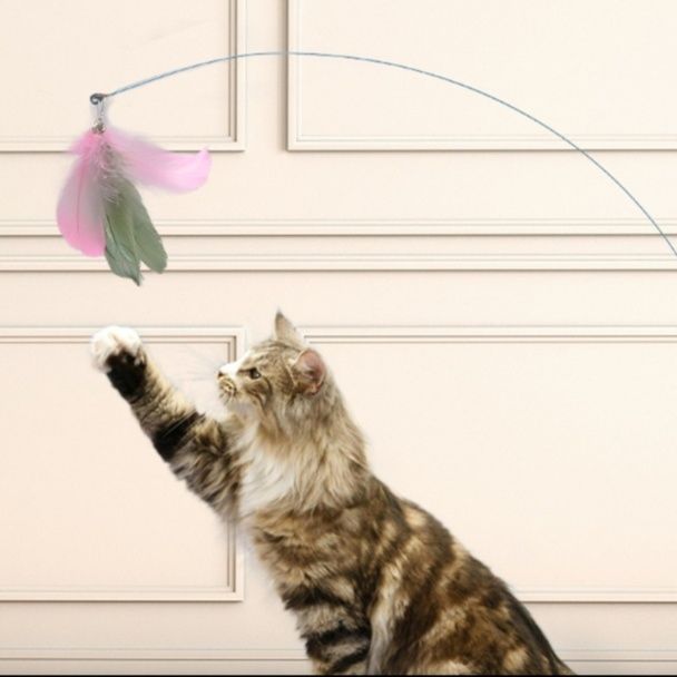 https://fulmo-img-server.com/party-cat/1751434109165_9sbrq7z3_543d7mkt.jpeg