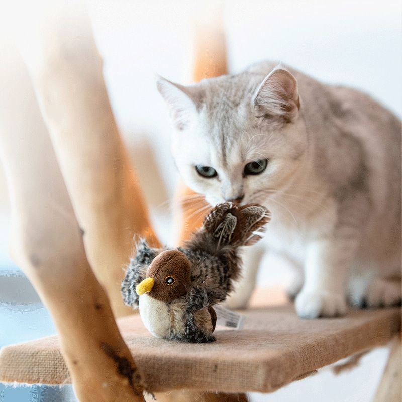 猫 おもちゃ 小鳥のぬいぐるみ音鳴り付き猫じゃらし