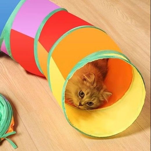 https://fulmo-img-server.com/party-cat/1751434393417_6gshurwz_40bgtrka.jpeg