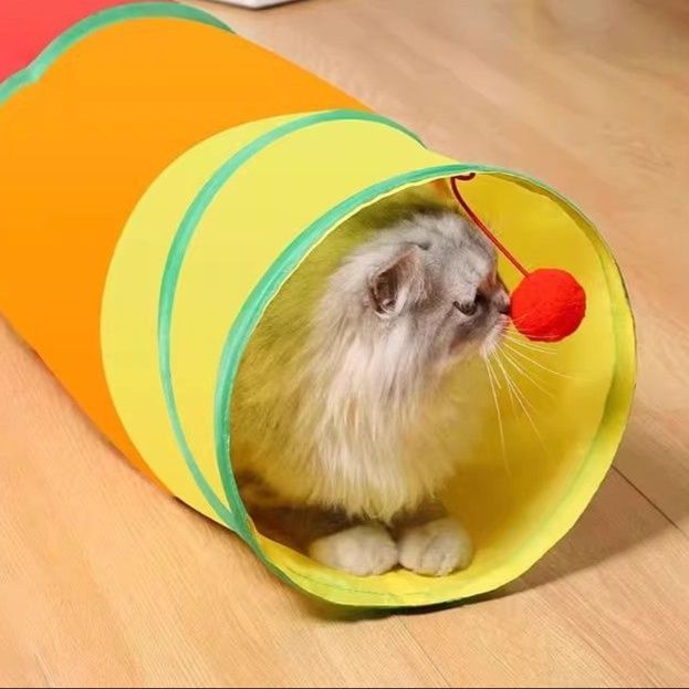 https://fulmo-img-server.com/party-cat/1751434427384_kma4mc6v_vueoghi4.jpeg