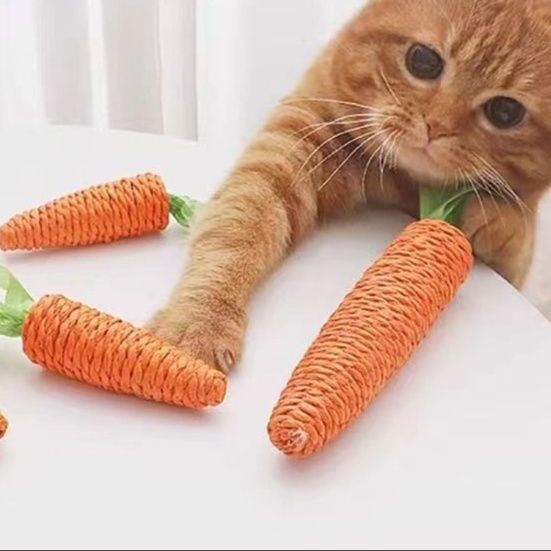 https://fulmo-img-server.com/party-cat/1751434581806_5u2yqo3g_ggne3iwp.jpeg