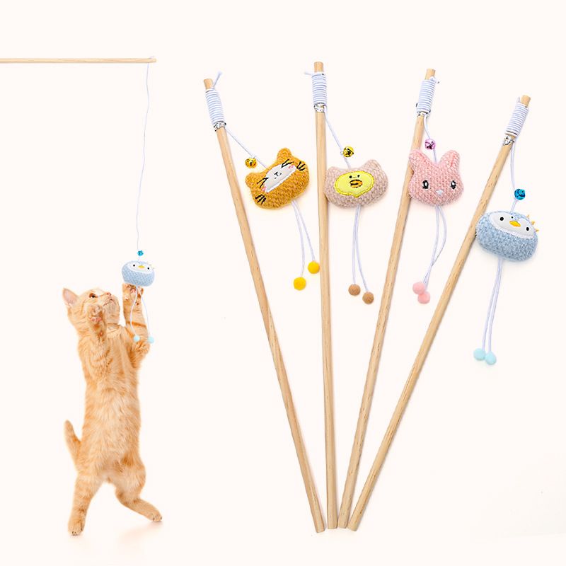 https://fulmo-img-server.com/party-cat/1751434984256_r4ipu1hc_6ezppr23.jpeg
