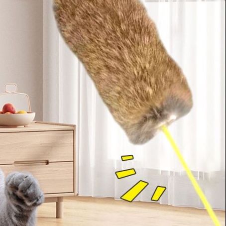 https://fulmo-img-server.com/party-cat/1751435901340_g1qbcw6a_0rugyrnh.jpeg