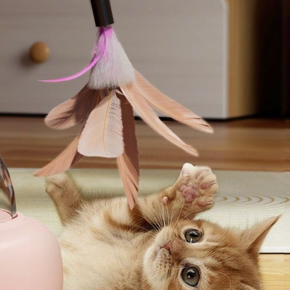 https://fulmo-img-server.com/party-cat/1751436947437_kdfxv6ue_yxj0joaf.jpeg