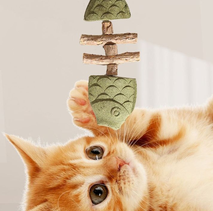 https://fulmo-img-server.com/party-cat/1753760833664_biq3t0y8_n1uh1ym5.jpeg