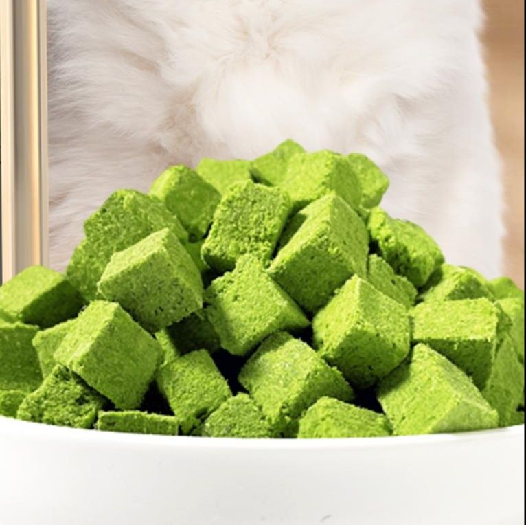 猫 おもちゃ 猫草デンタルキューブ