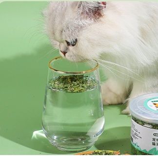 猫 おもちゃ 多用途リラックスまたたび