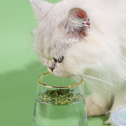 猫 おもちゃ 多用途リラックスまたたび