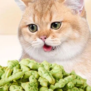 猫 おもちゃ 魅惑の猫草薄荷クランチ