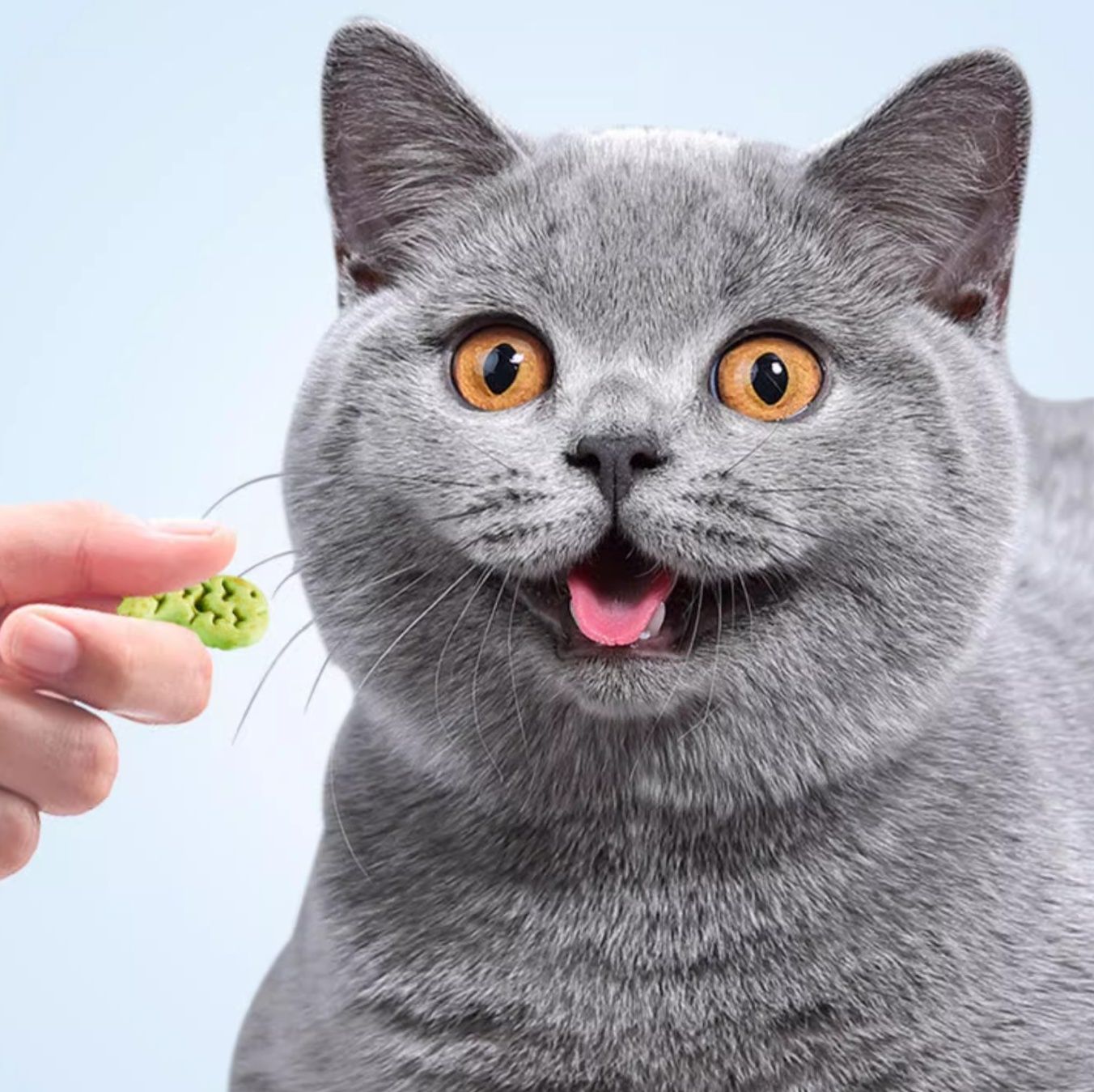 猫 おもちゃ 魅惑の猫草薄荷クランチ