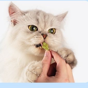 猫 おもちゃ 魚型またたびクッキー
