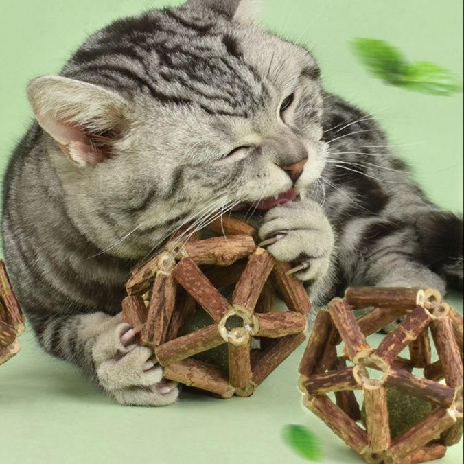 猫 おもちゃ 木製またたび歯磨きボール