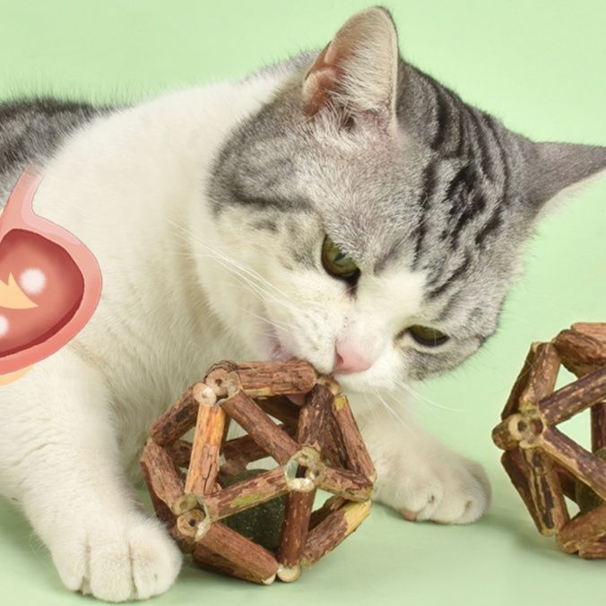 猫 おもちゃ 木製またたび歯磨きボール