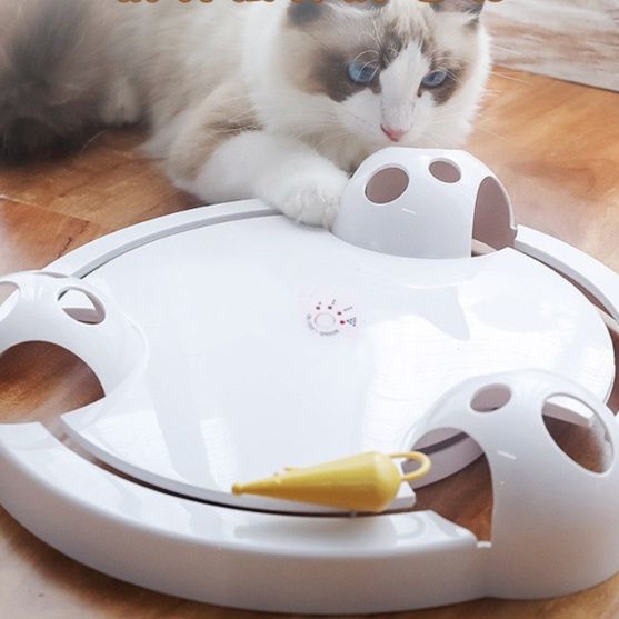 https://fulmo-img-server.com/party-cat/1755694804082_nhnqx4sq_04fpjn40.jpeg