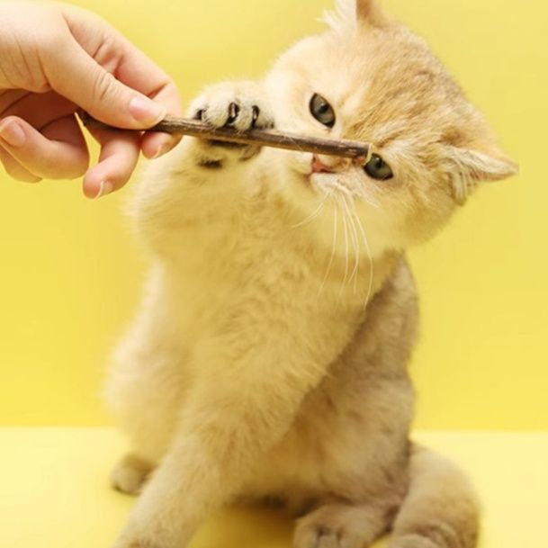 猫 おもちゃ 歯磨き効果の天然またたび棒