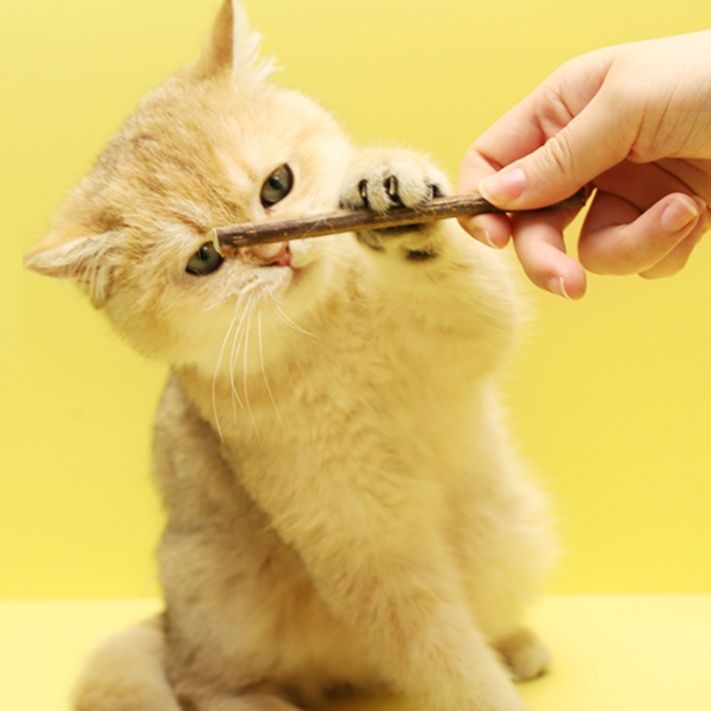 猫 おもちゃ 歯磨き効果の天然またたび棒