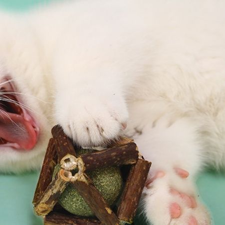 猫 おもちゃ 木枠のまたたびボール