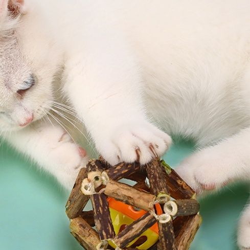 猫 おもちゃ 木枠のまたたびボール