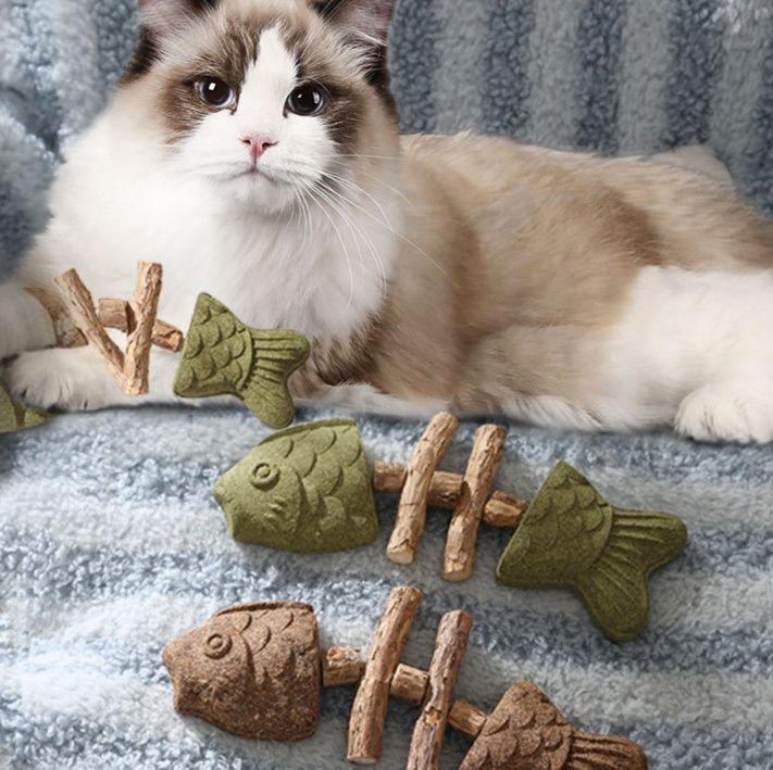 https://fulmo-img-server.com/party-cat/1755748131869_5cqmrnjh_4awffubi.jpeg